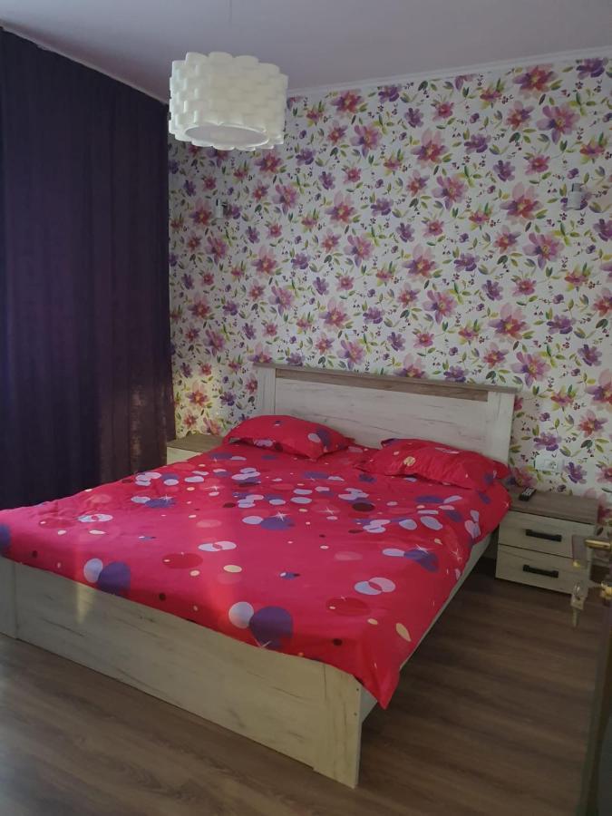 Apartament Radu Călimăneşti Exterior foto